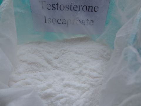 Testosterone Isocaproate  